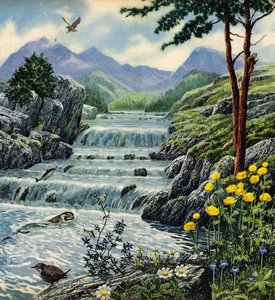 Skót Felföld alkotó: English School